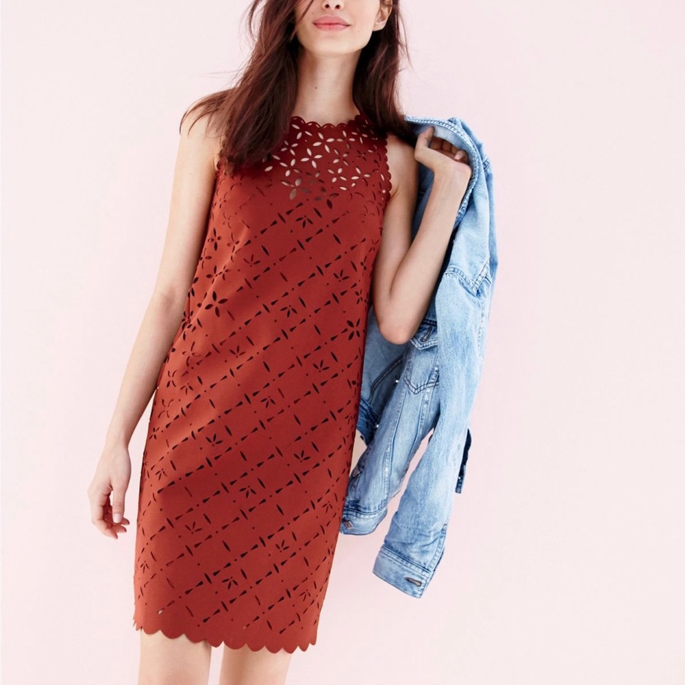 NWT J. Crew Laser Cut Floral Shift Dress Lined Size 4 in Dark Cognac
